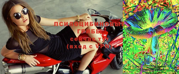 амф Горняк