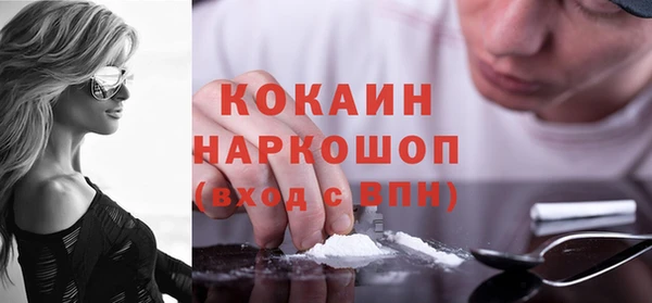 амф Горняк