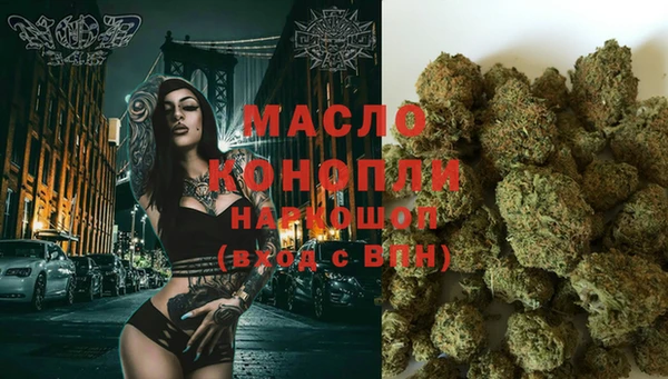 амф Горняк