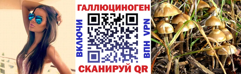 Псилоцибиновые грибы Cubensis  omg ТОР  Закаменск 